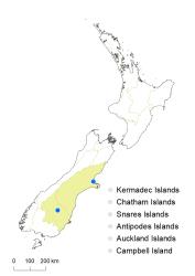 Veronica polita distribution map based on databased records at AK, CHR & WELT.
 Image: K.Boardman © Landcare Research 2022 CC-BY 4.0